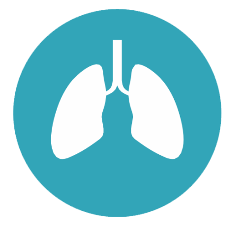 Respiratory rate monitoring